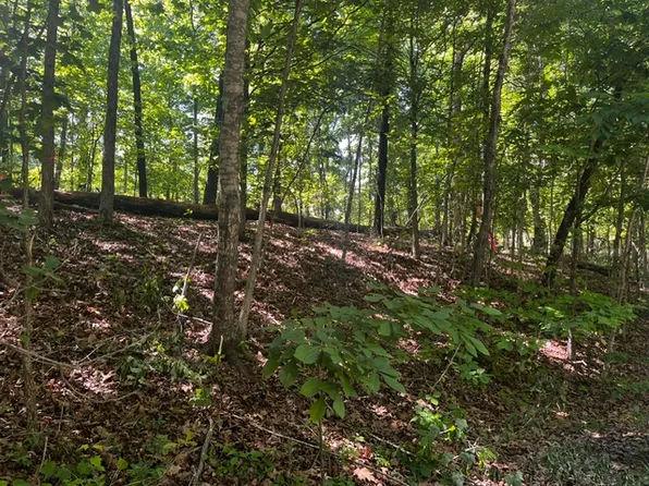 12 Riding Ln #12, Bella Vista, AR 72714