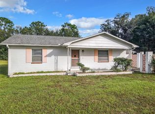 410 W Main St, Lake Helen, FL 32744