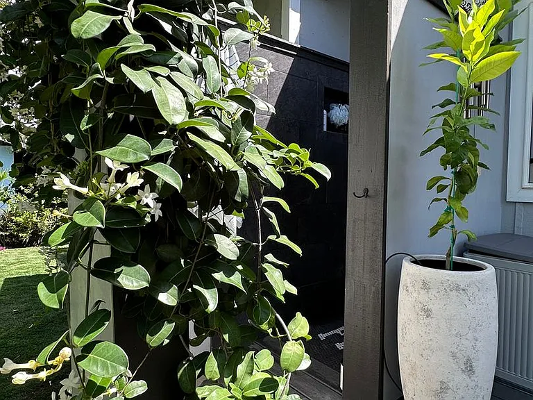 42 Kupono St — Photo 17