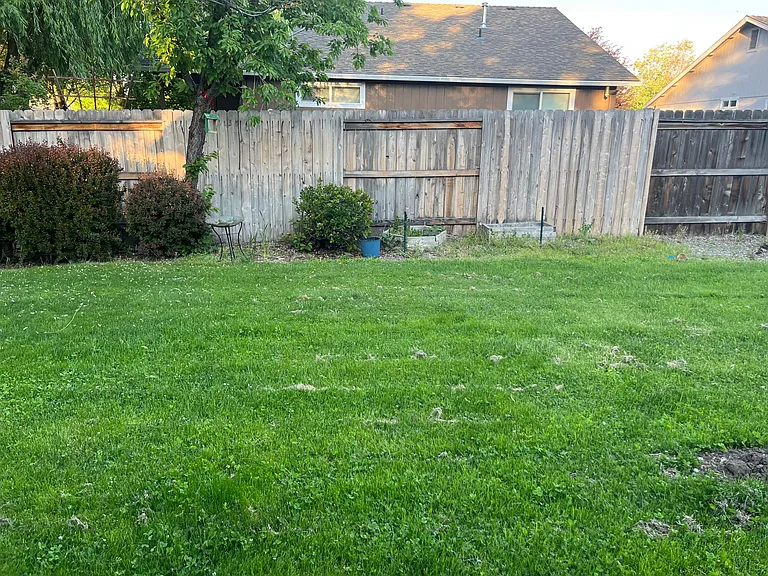 2052 Manchester Dr — Photo 10
