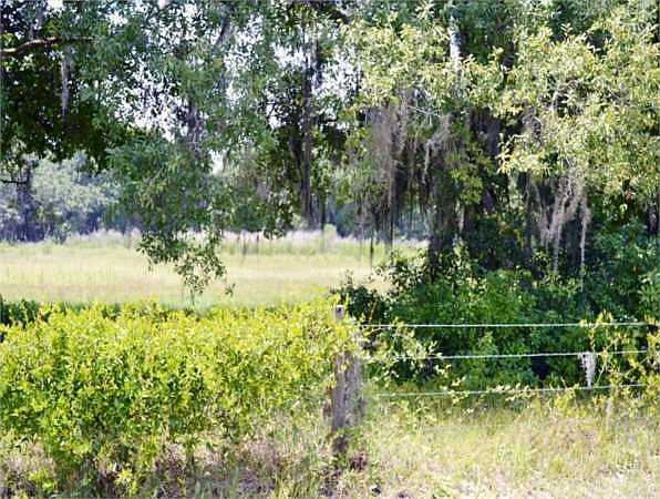 2nd image of 540 Wilder Rd