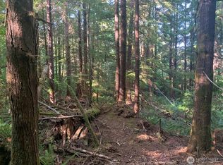 In 6/10/9, Naselle, WA 98638