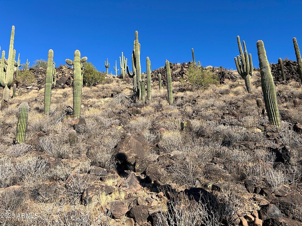 27xx W Maddock Road #-, Phoenix, AZ 85086 | MLS #7019335 | Zillow