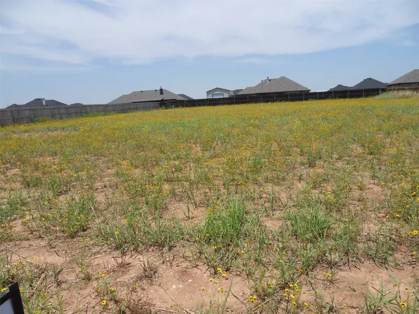 110 Sparrow Hills Ln, Tuscola, TX 79562