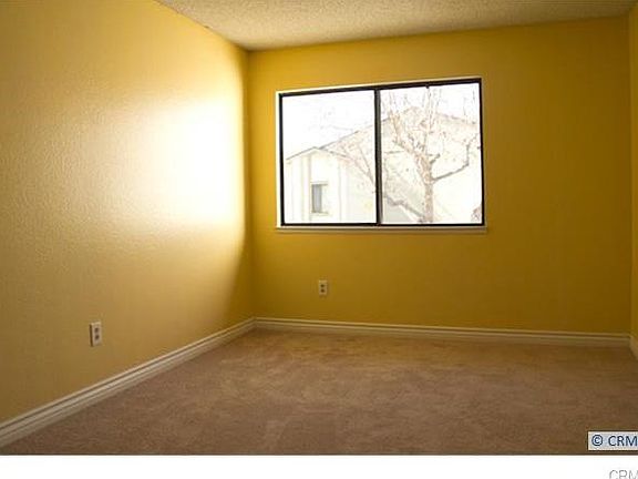 3rd image of 1031 S Palmetto Ave APT P4