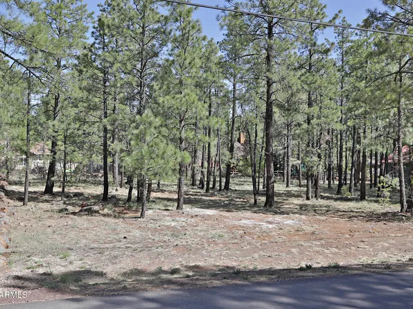 7466 Buck Springs Road #175, Pinetop, AZ 85935