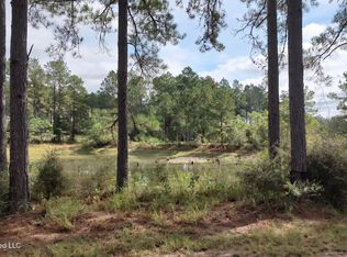 0 Highway 13, Lumberton, MS 39455