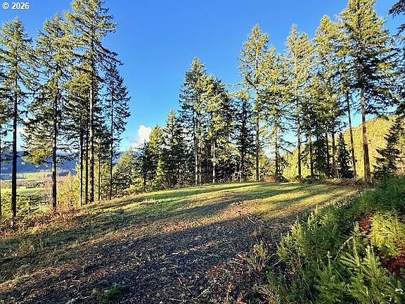 5th image of Alder Branch Rd