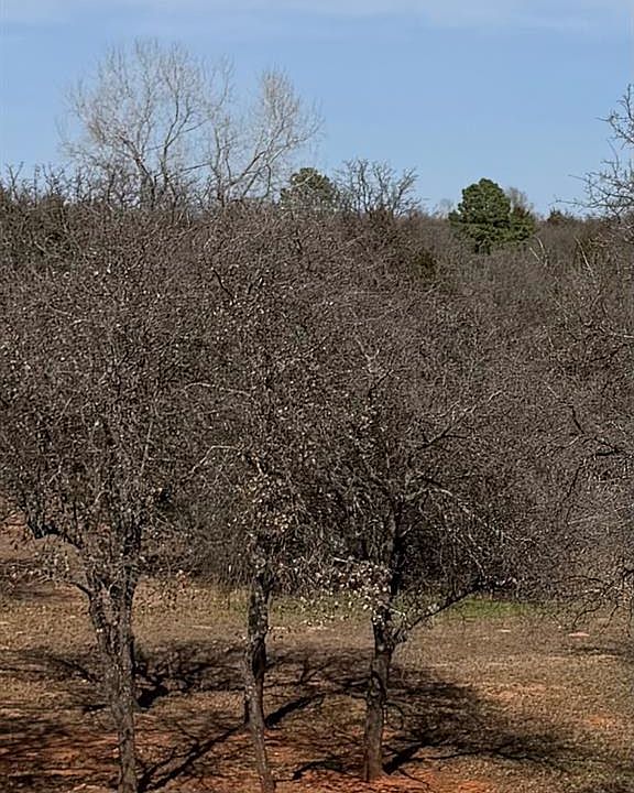 1st image of 16400 S Anderson Rd Lot 38
