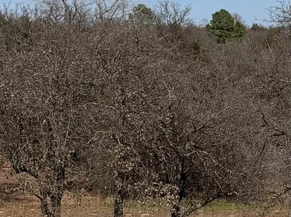 16400 S Anderson Rd Lot 38, Oklahoma City, OK 73165