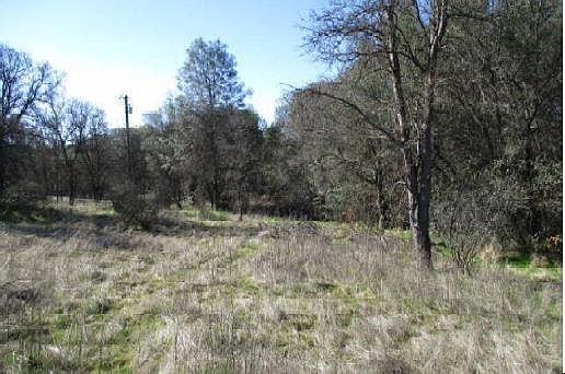 2nd image of 2888 Squaw Dr