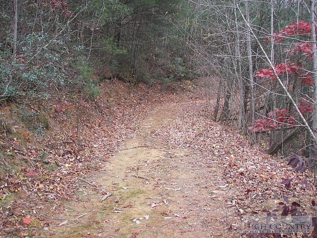 2nd image of Tbd Buffalo Cove Road