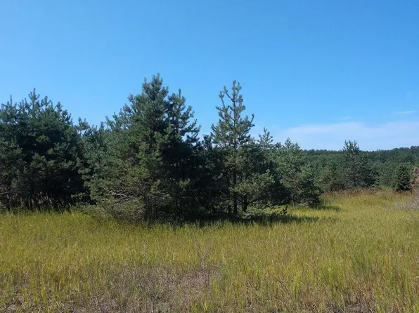 10123 N Black River Rd, Cheboygan, MI 49721