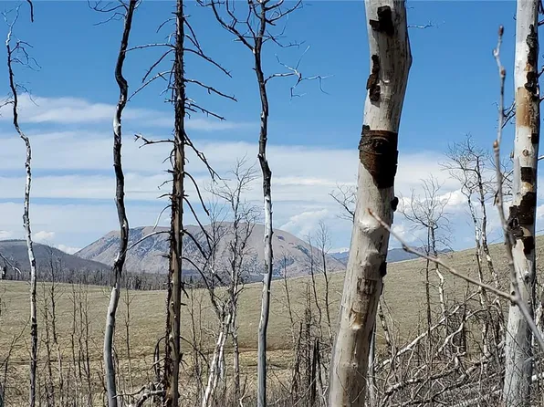 2398 Petito Drive LOT 2398, Fort Garland, CO 81133