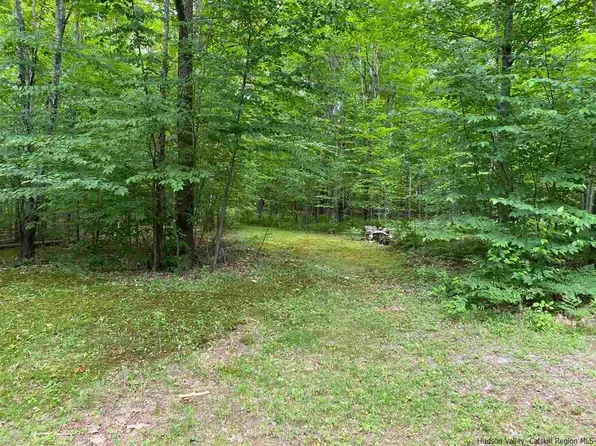 Tumbleweed Ranch Rd, West Kill, NY 12492