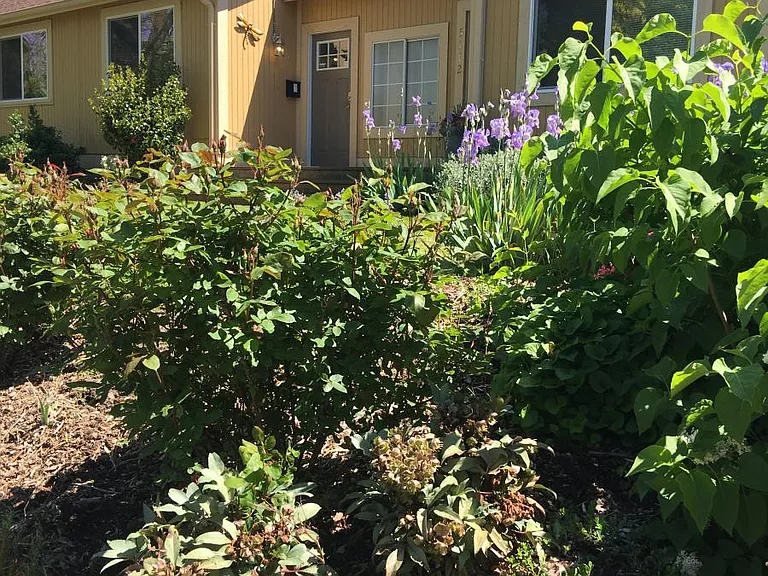 5112 Latona Ave NE — Photo 2