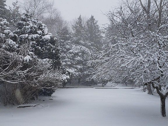 View of the backyard in winter. Plenty of room to play in the snow.