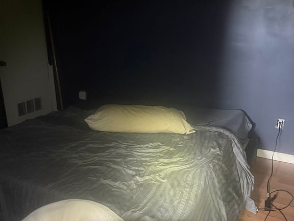 This is the bedroom downstairs. The dog and the bed will not be there when you get there.