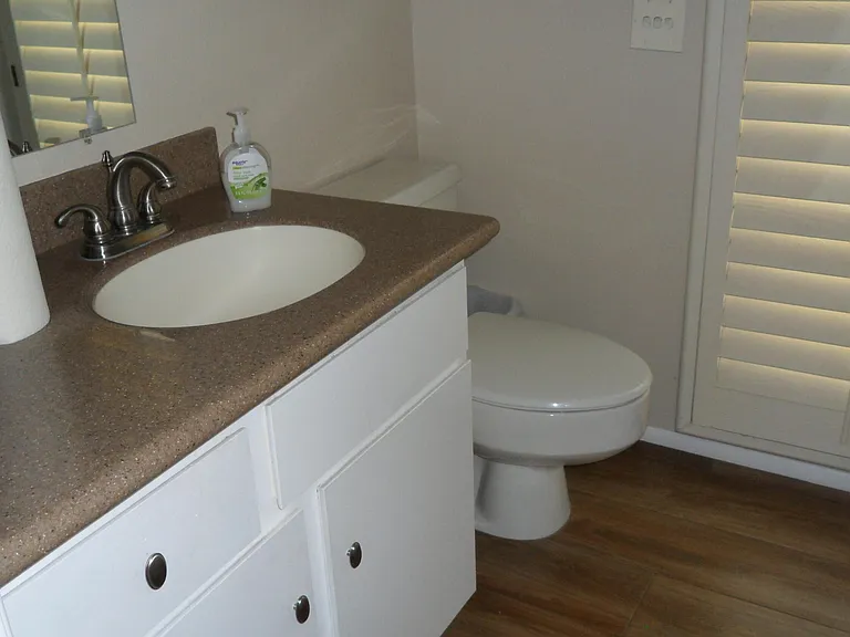 16209 N Desert Holly Dr — Photo 20