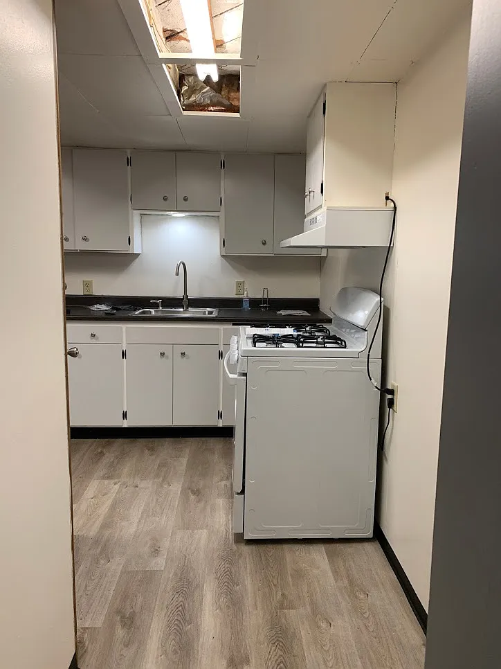 1 bed, 550 sqft, $950 — Photo 3