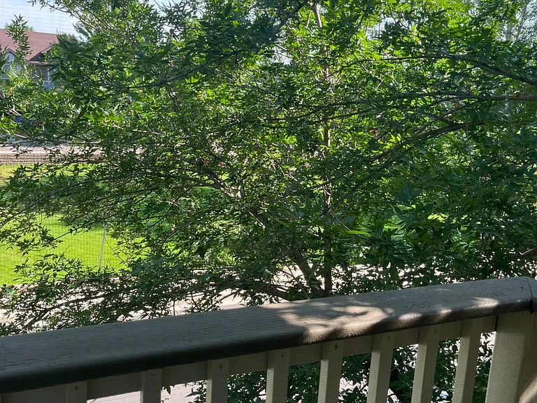 Sit outside and enjoy the view front this patio that connect the 2 upstairs rooms.