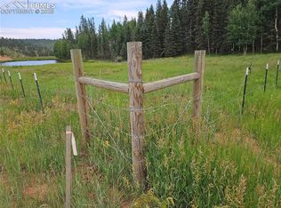 702 Lake Dr, Divide, CO 80814