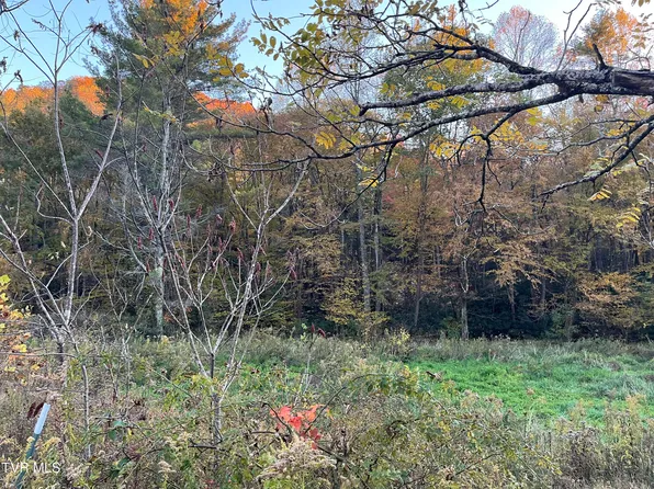 870 Furnace Creek Rd, Mountain City, TN 37683