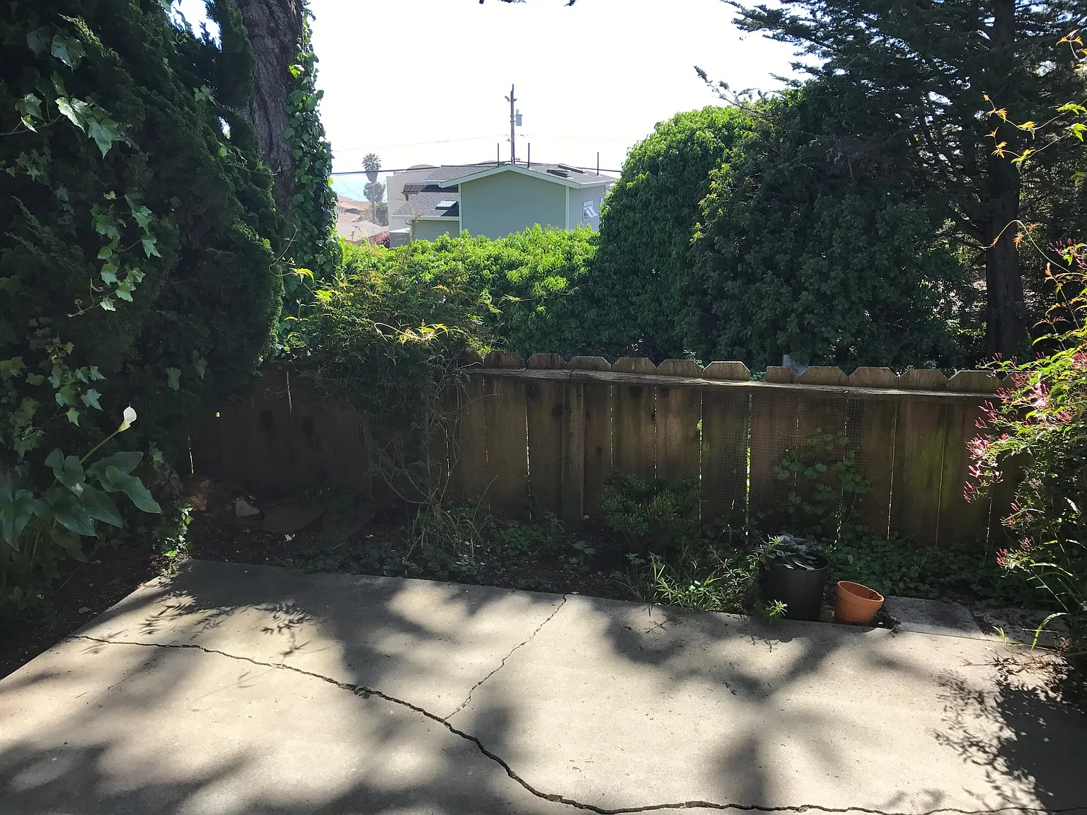 2 bed, 850 sqft, $2,900 — Photo 4