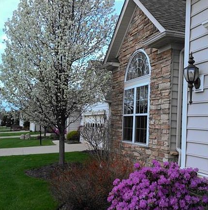 3rd image of 581 Shallow Creek Cir