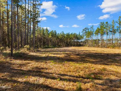 305 Loyd Irby Rd, Pelahatchie, MS, 39145