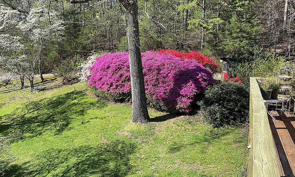 2nd image of 247 Cedar Estates Rd