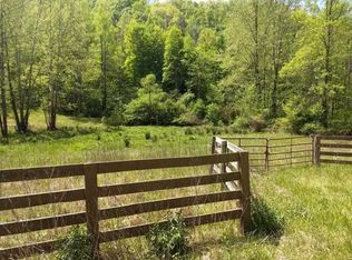 6556 Snake Hollow Rd, Sneedville, TN 37869