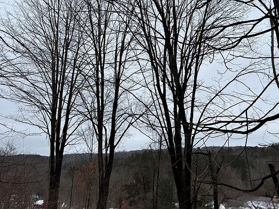 5th image of 1092 Hickory Hill Road