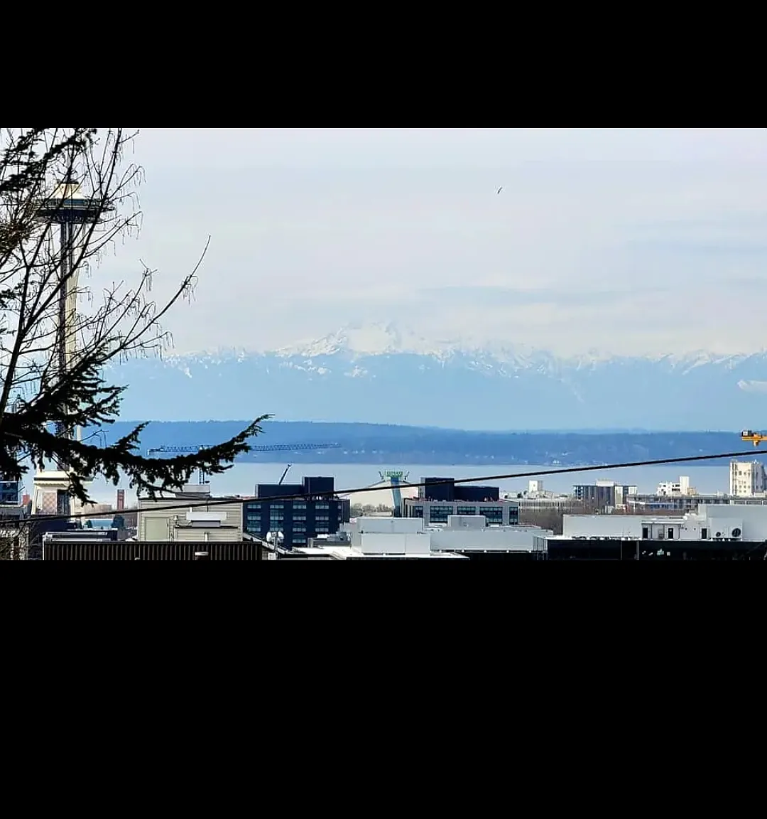 1 bed, 553 sqft, $2,600 — Photo 3