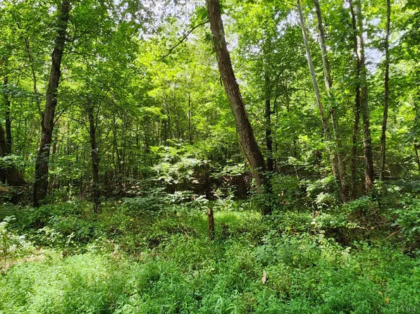 0 Chestnut Rd, Nathalie, VA 24577