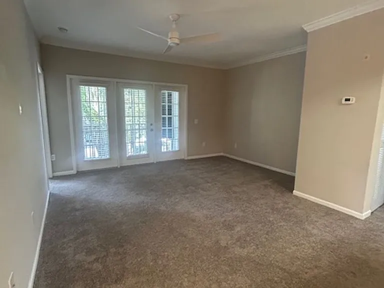 1704 Frederica Rd #428 — Photo 8