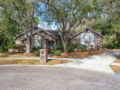 110 Woodglen Ct, Oldsmar, FL, 34677