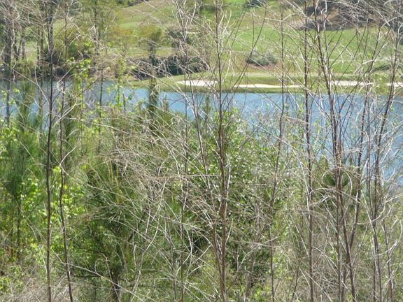 2nd image of 181 Sea Grass Ln