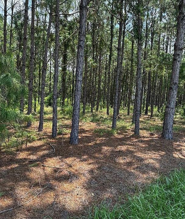 2nd image of County Road 227 Rd