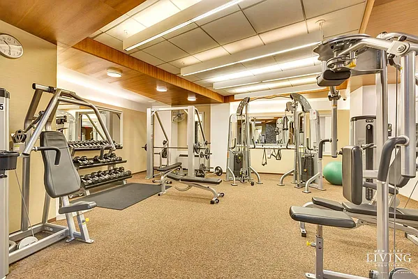 Rented by NY Living Solutions | media 6