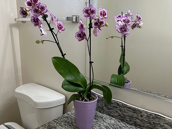 4th image of 21201 Gardena Dr #1