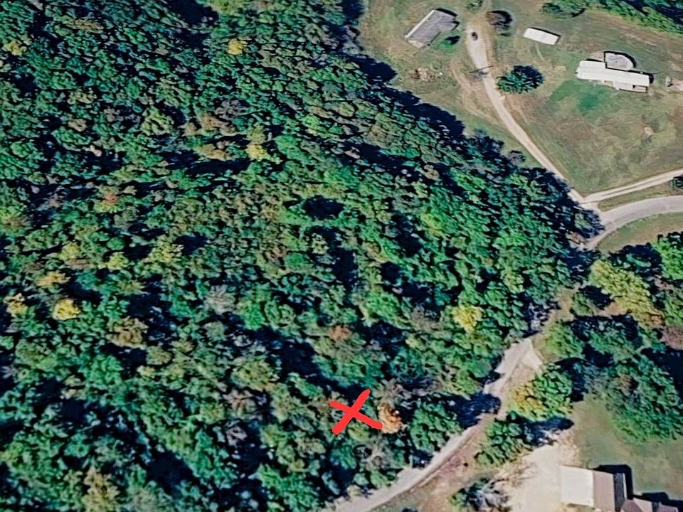 2nd image of 1 Crawley Hill Rd