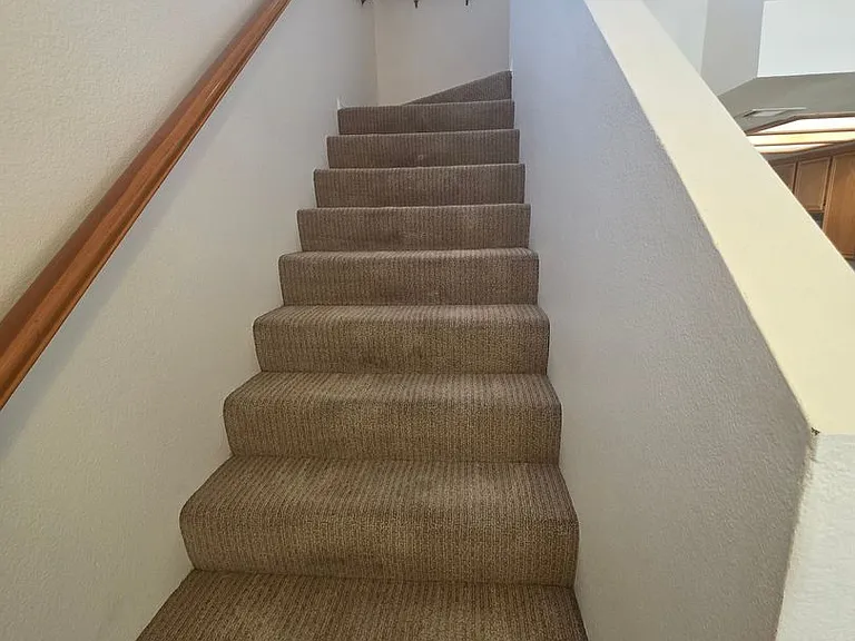 29602 Cara Way — Photo 14