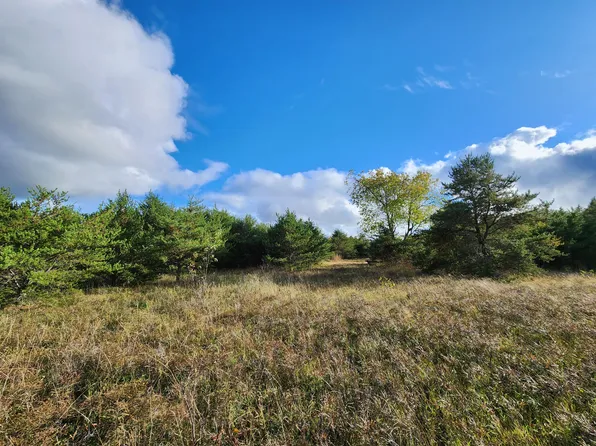 Co Road 491, Lewiston, MI 49756