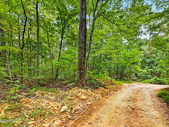 5th image of 22 Timber Ridge Ln