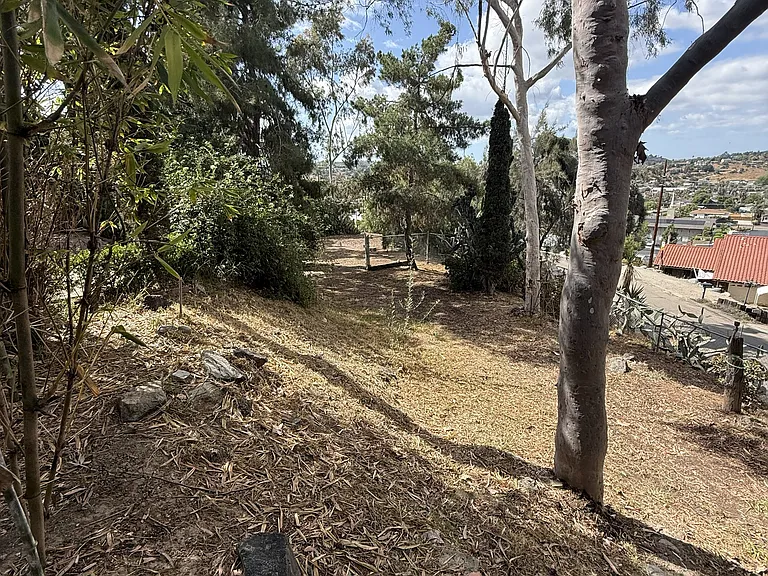 9303 Crest Dr — Photo 35