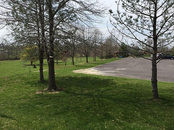 View from the patio towards the adjacent city park.