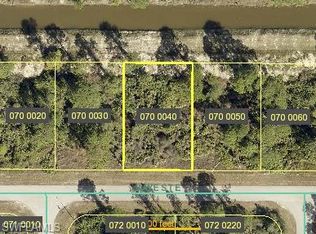 1021 Kaye St E, Lehigh Acres, FL 33974