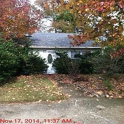 1st image of 3900 Pollypine Dr