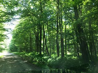 Prince Brook Rd #3, Osceola, NY 13437